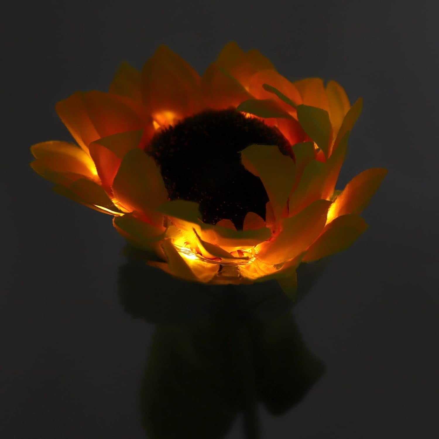 Ever Bright Sunflower Ever Bright Sunflower